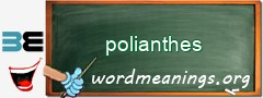 WordMeaning blackboard for polianthes